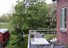 Blick von der Terrasse auf den Bauwagen