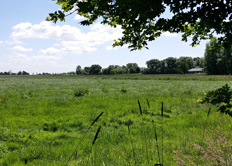 Blick auf die Nachbarwiesen